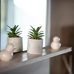 Elegant View * Haraki